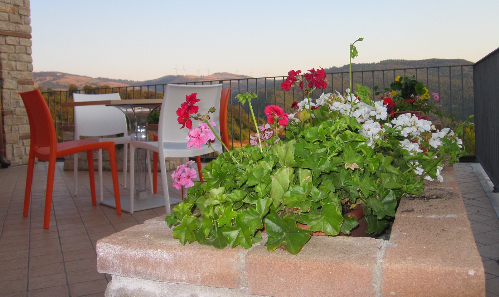 La terrazza sul bosco